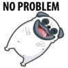 White Pug 27