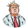 Glory to Trump and the US by 26