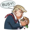 Glory to Trump and the US by 28