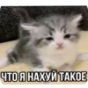 ZoKUVxc_by_achestickbot 22
