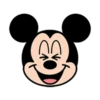 You know this mouse 24