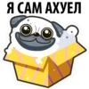 White Pug 28