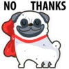 White Pug 29