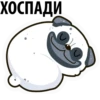 White Pug 30