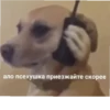 lol 5