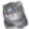 surprised cat 8