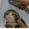 lol 11
