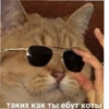 lol 14