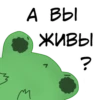 Frog 13