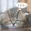 ᘛ⁠⁐̤⁠ᕐ⁠ᐷ more stickers → 21