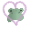 Frog 24