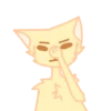 Go kitty go! 5