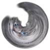 surprised cat 15