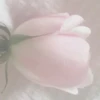 Soft (⑅•ᴗ•⑅) ..°♡ :: 6