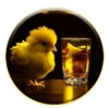 Magic Chicken! 3