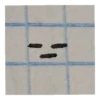 UWU 7
