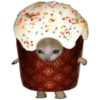 UwU 3