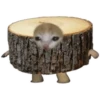 UwU 5