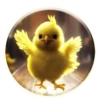 Magic Chicken! 6