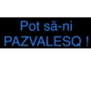 Pot să-ni PAZVALESQ!