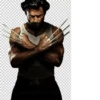Wolverine 8