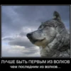 Согласны? Узнали? 5