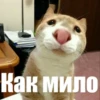 Voop_stic2 7