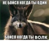 Согласны? Узнали? 7