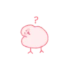 Um pato mastigável 12