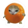 UwU 7