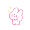 a dainty rabbit 12