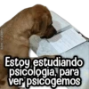 Kane stickers Estoy estudiando psicología, para ver psicogemos