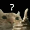 ?