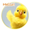 Magic Chicken! 11