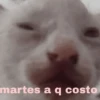 a ver tu cola 😎memes 8