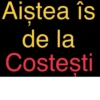 Aiștea îs de la Costești 1