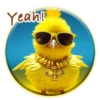 Magic Chicken! 12