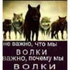 Согласны? Узнали? 10