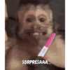 SORPRESAAA...