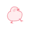 Um pato mastigável 16