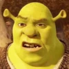 🟢 SHERK Moods 🟢 8
