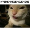 NYEHEHHEJEHEJEHEHE