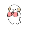 BOBA DOG 3 13