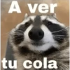 a ver tu cola 😎memes 9