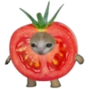 UwU 10