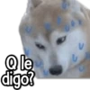 Q le digo? V
