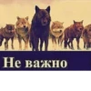 Не важно