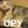 Voop_stic2 12