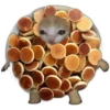 UwU 13