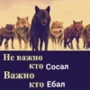 Согласны? Узнали? 12